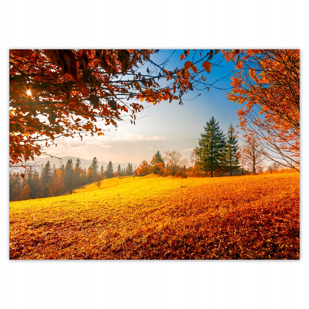 

Fototapety flizelina 254x184 Jesienny krajobraz
