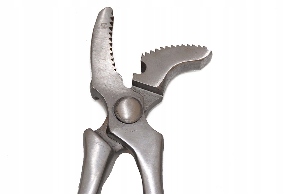 Krokodýlky Kovářské Profesionální