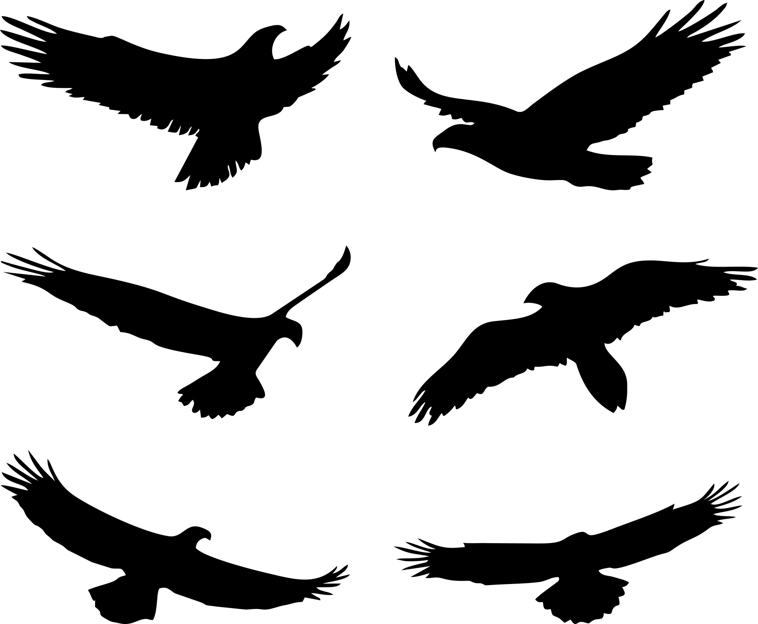 

Naklejki Odstraszające Ptaki 25 cm na szybę 6 szt