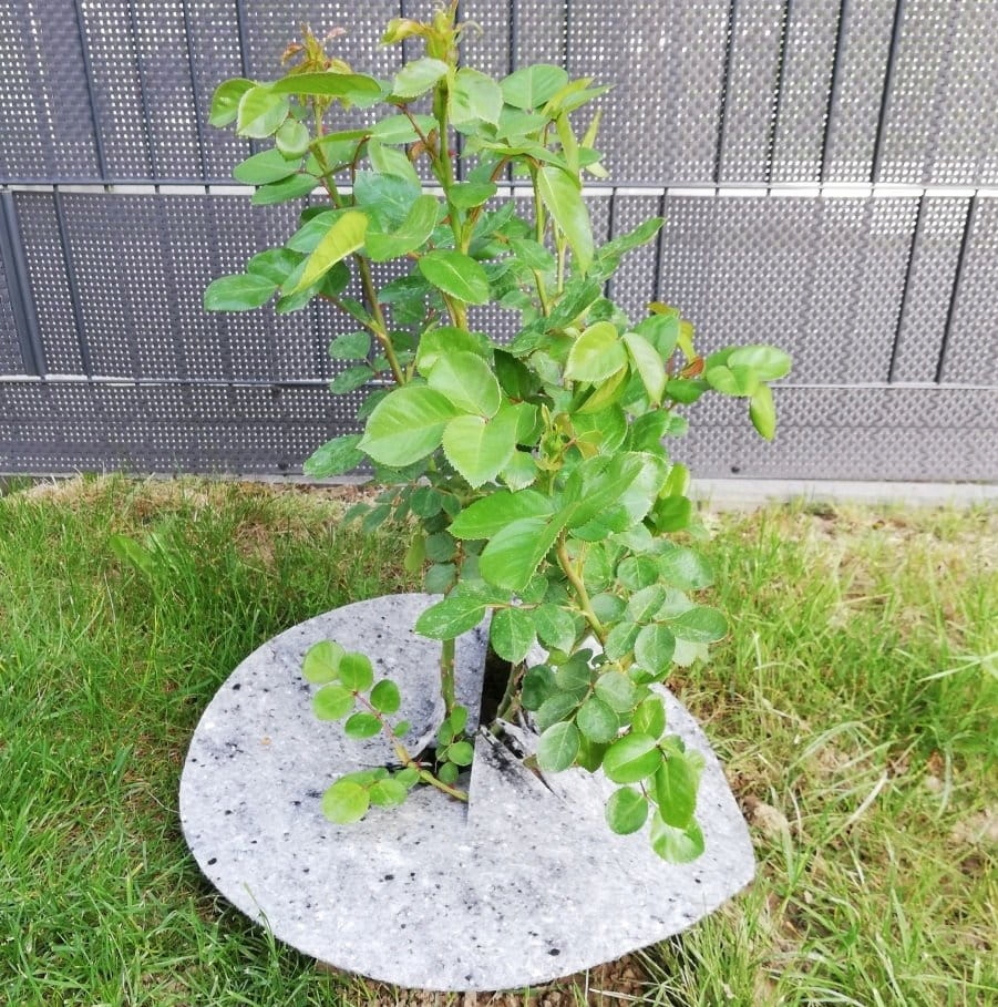 FILCOWA OSŁONA ściółkująca pod krzewy KRĄŻEK 40cm Marka inna