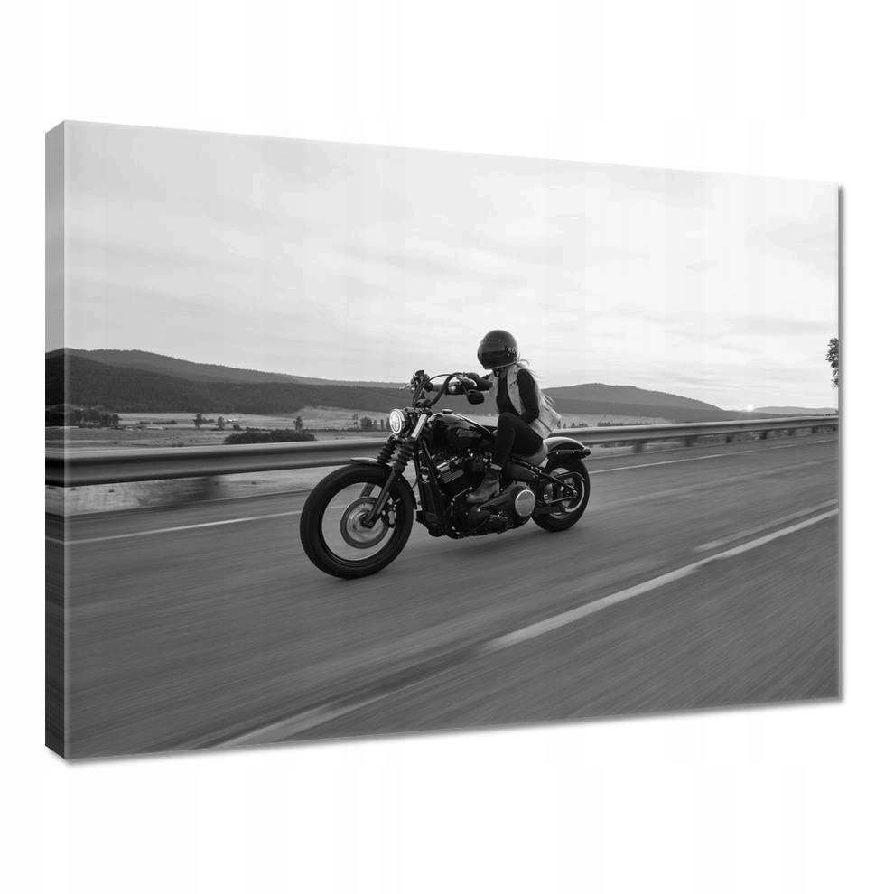 

Obrazy 40x30 Harley Davidson Motocykl