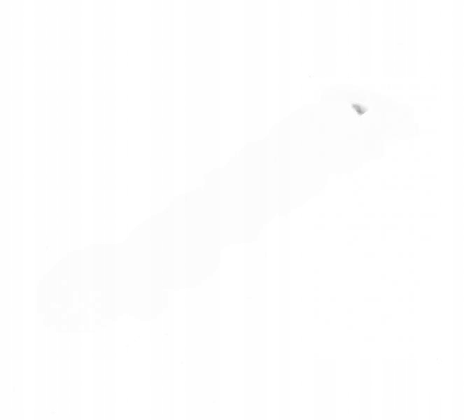 Toyota Verso Chrómovaný emblém logo zadné Toyota 75441-0F020 Oe