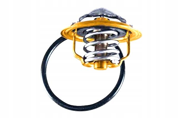 TERMOSTAT VW 87C 2,0TDI 03- WAHLER Producent części Wahler