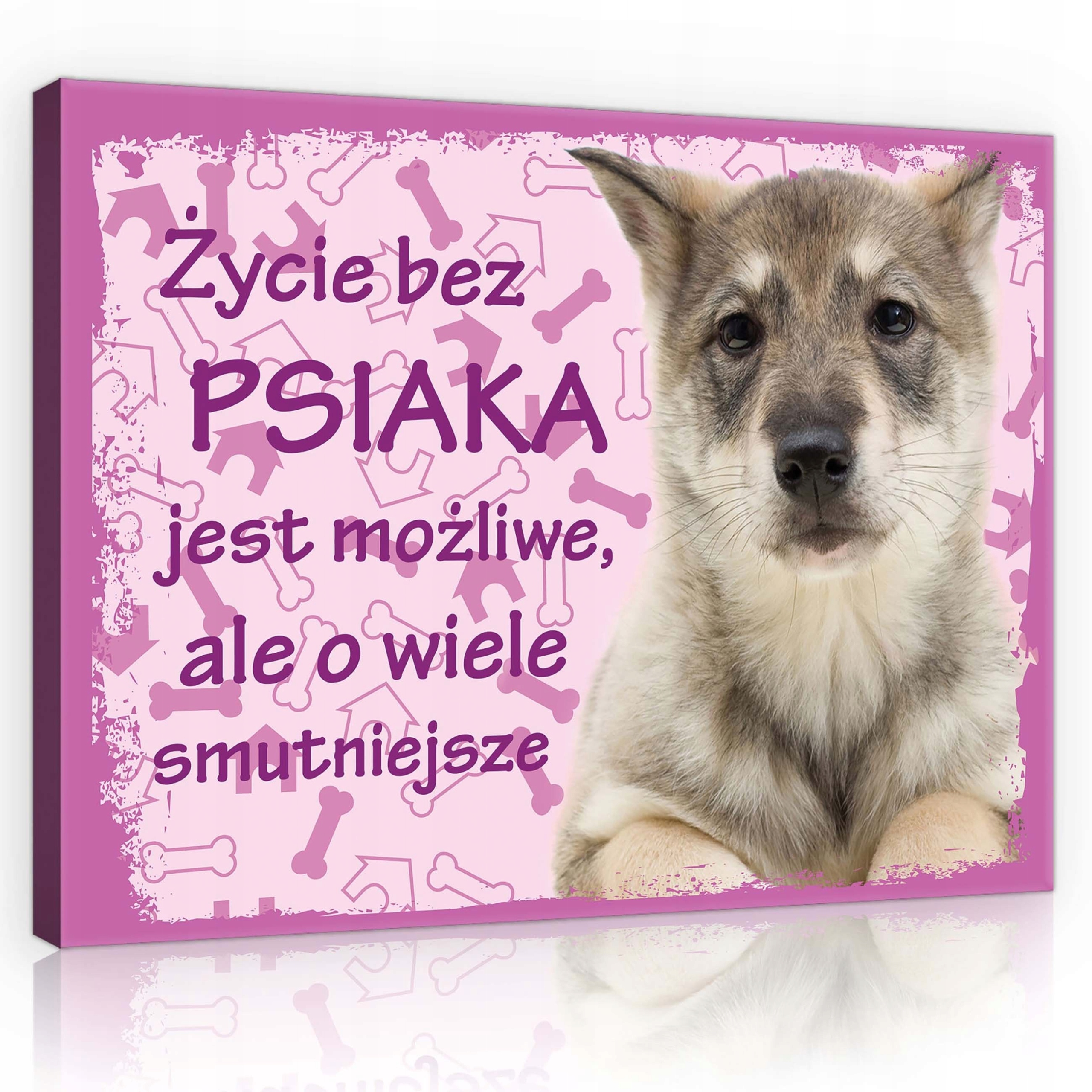Obraz 100x75 Štěňátko pes domácí zvíře růžové kosti nápis sentimentální