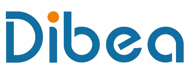 Dibea D960 Oryginalny filtr HEPA do robota Model D960