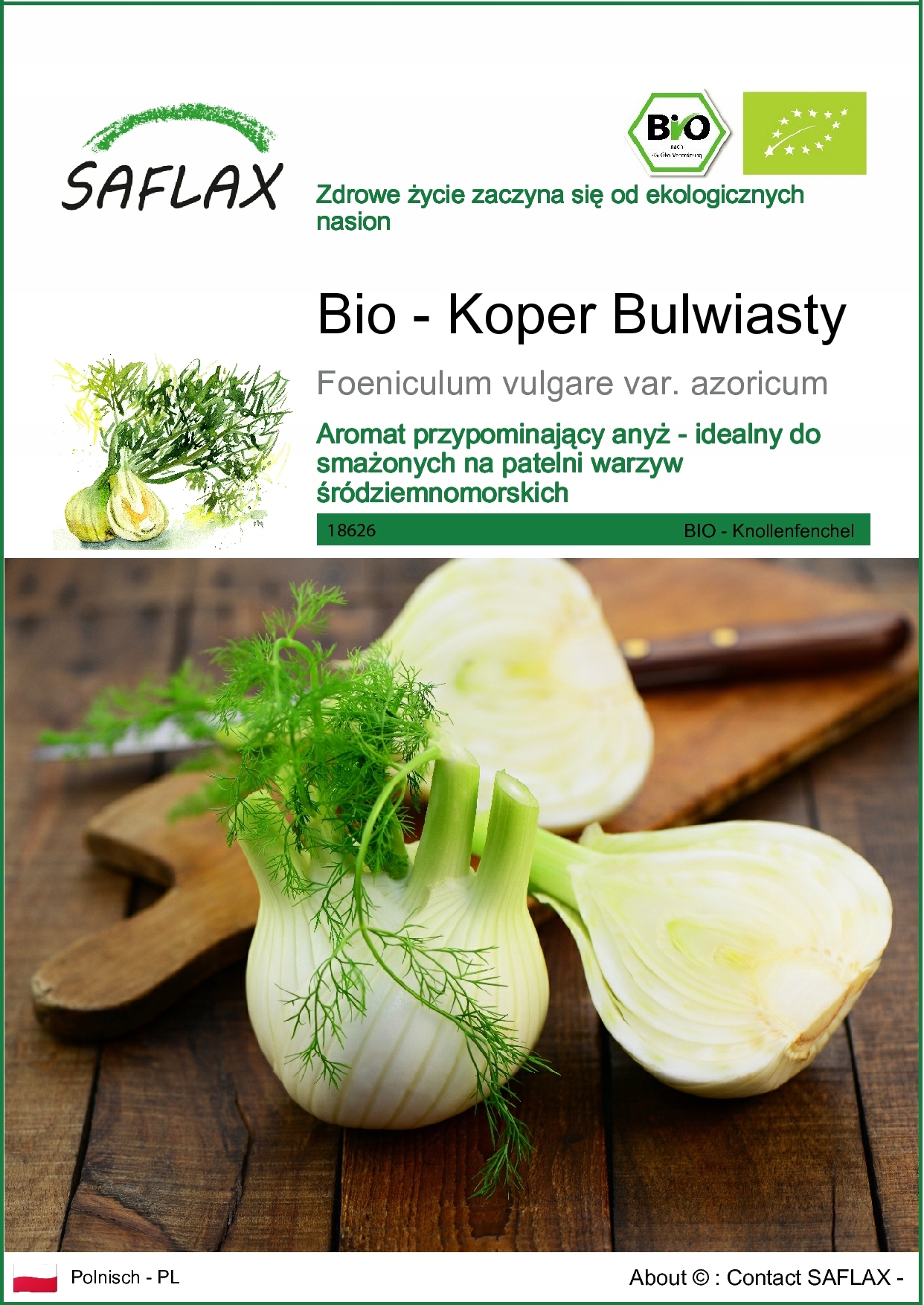 SAFLAX - Koper włoski - 100 Nasiona - Foeniculum