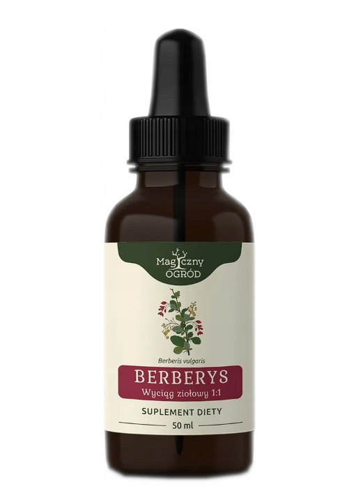 

Berberys nalewka Magiczny Ogród cholesterol 50 ml