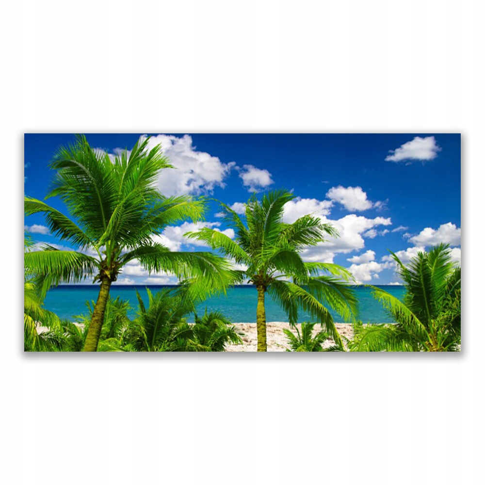 

Obraz akrylowy 120x60 Morze Palma Drzewa Krajobraz