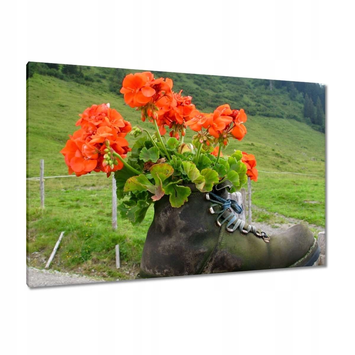 Obrazy 120x80 Květ v bucionerce