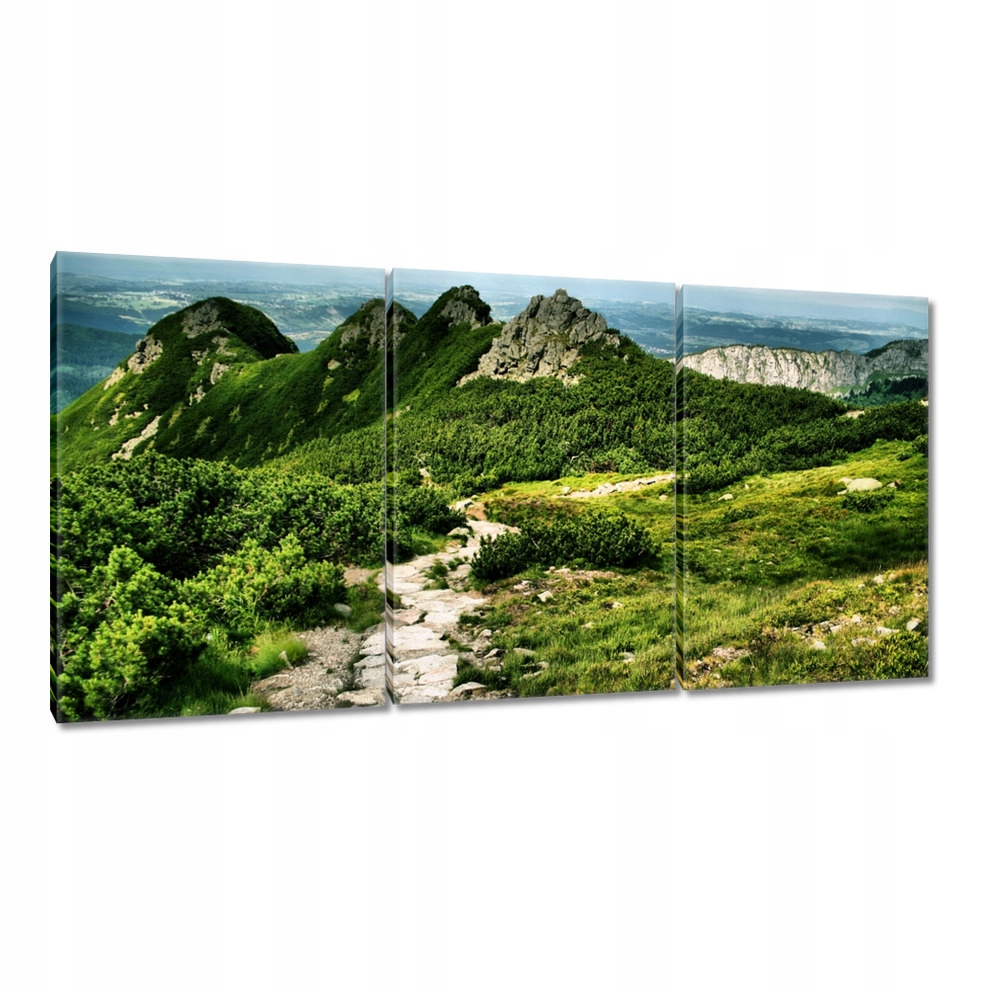 

Obrazy 120x60 Polskie Tatry Góry