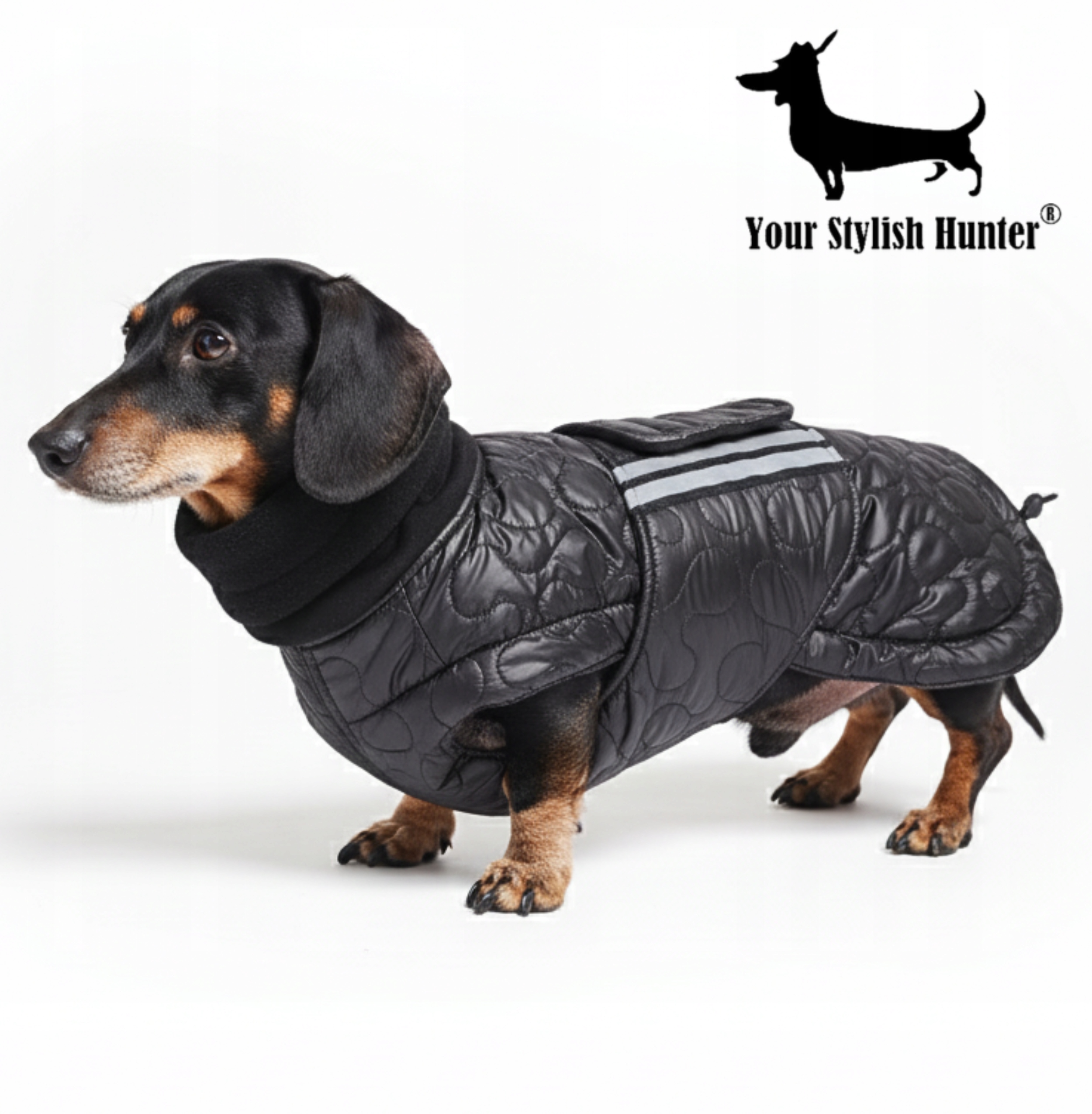 Levně СTepláа voděodolná bunda derka oblečení pro psa jezevčíka corgi na zimu 3XL