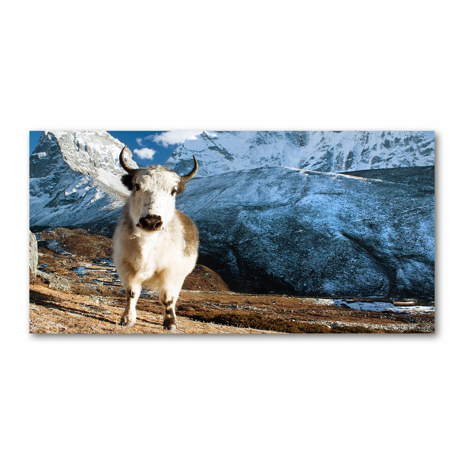 

Foto-obraz szkło hartowane Jak góry 140x70