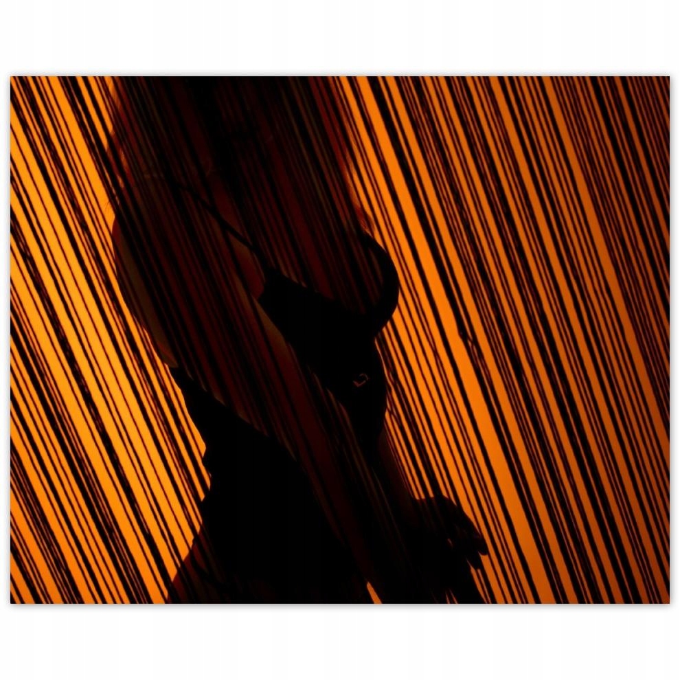 

Plakat 50x40 Laska Dziewczyna