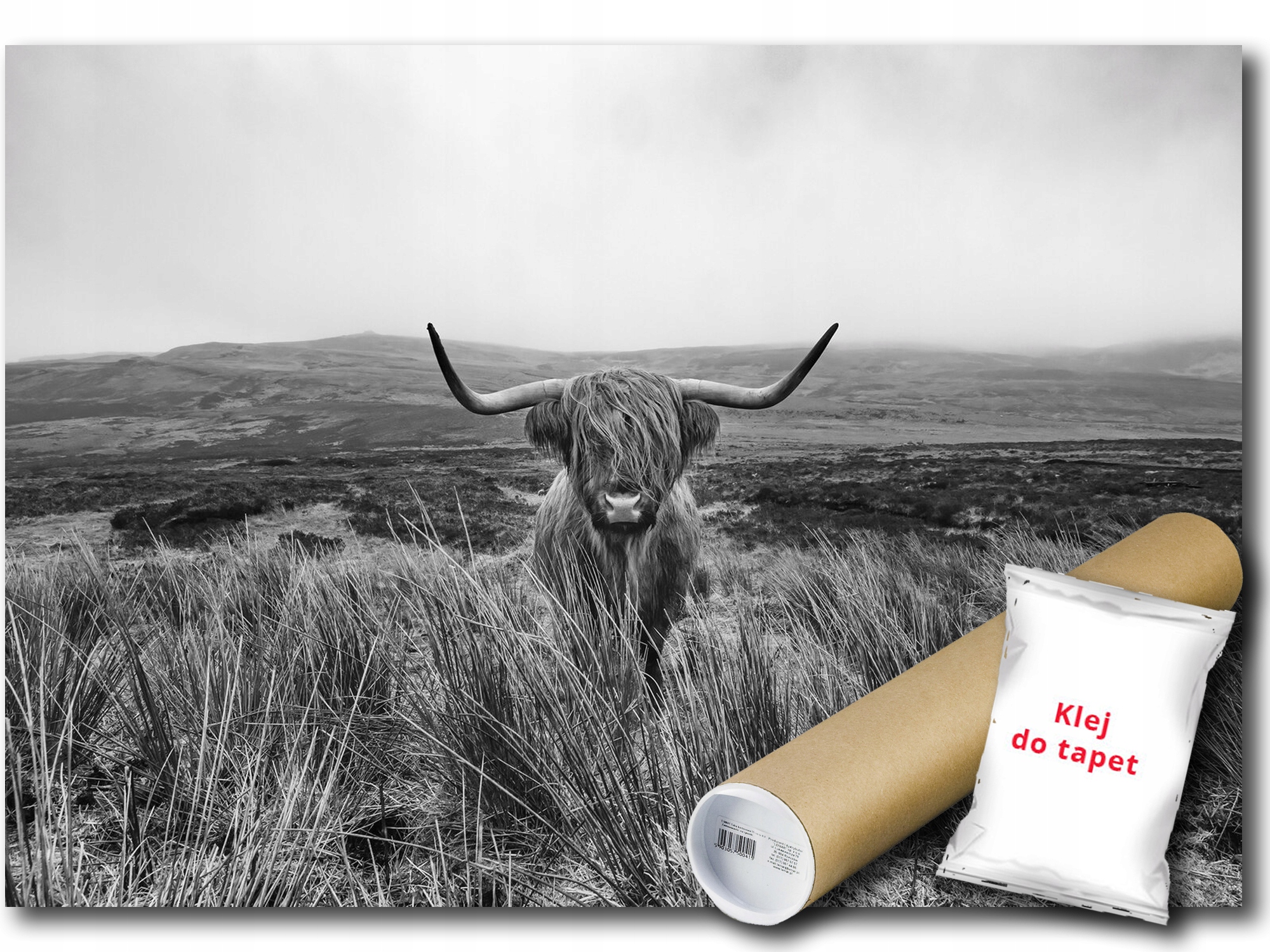 Vinylová Fototapeta Kráva Highland Hory 312x219