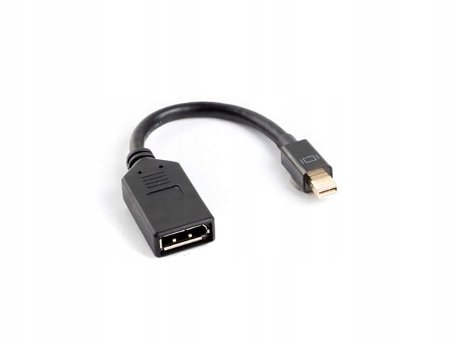 Adapter DisplayPort - mini DisplayPort Lanberg 10 cm czarny