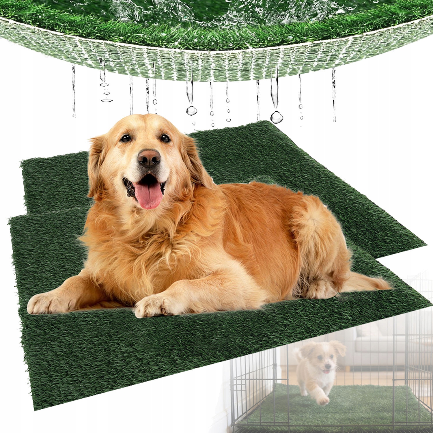 Levně 2x Wc kyveta pro psy s trávou pro výuku Pet Potty Delux 63x51 cm