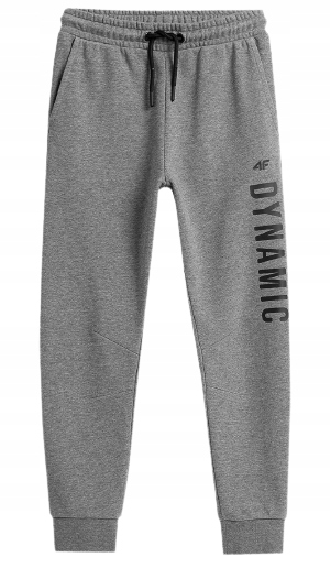 

Spodnie dresowe 4F JSPMD004A chłopięce szare 146