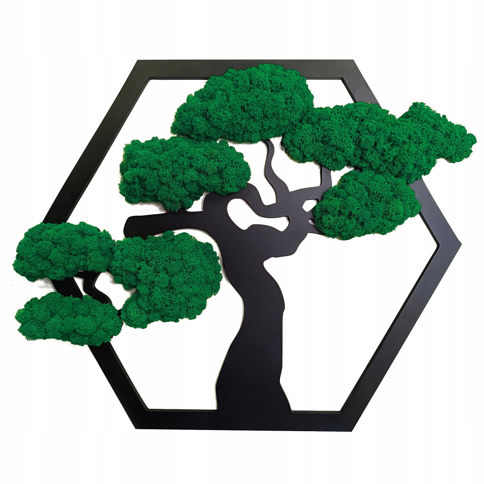 Obraz Severský Lišajník Strom Bonsai Obraz Z Machu Stromček Na Darček 50x41 cm