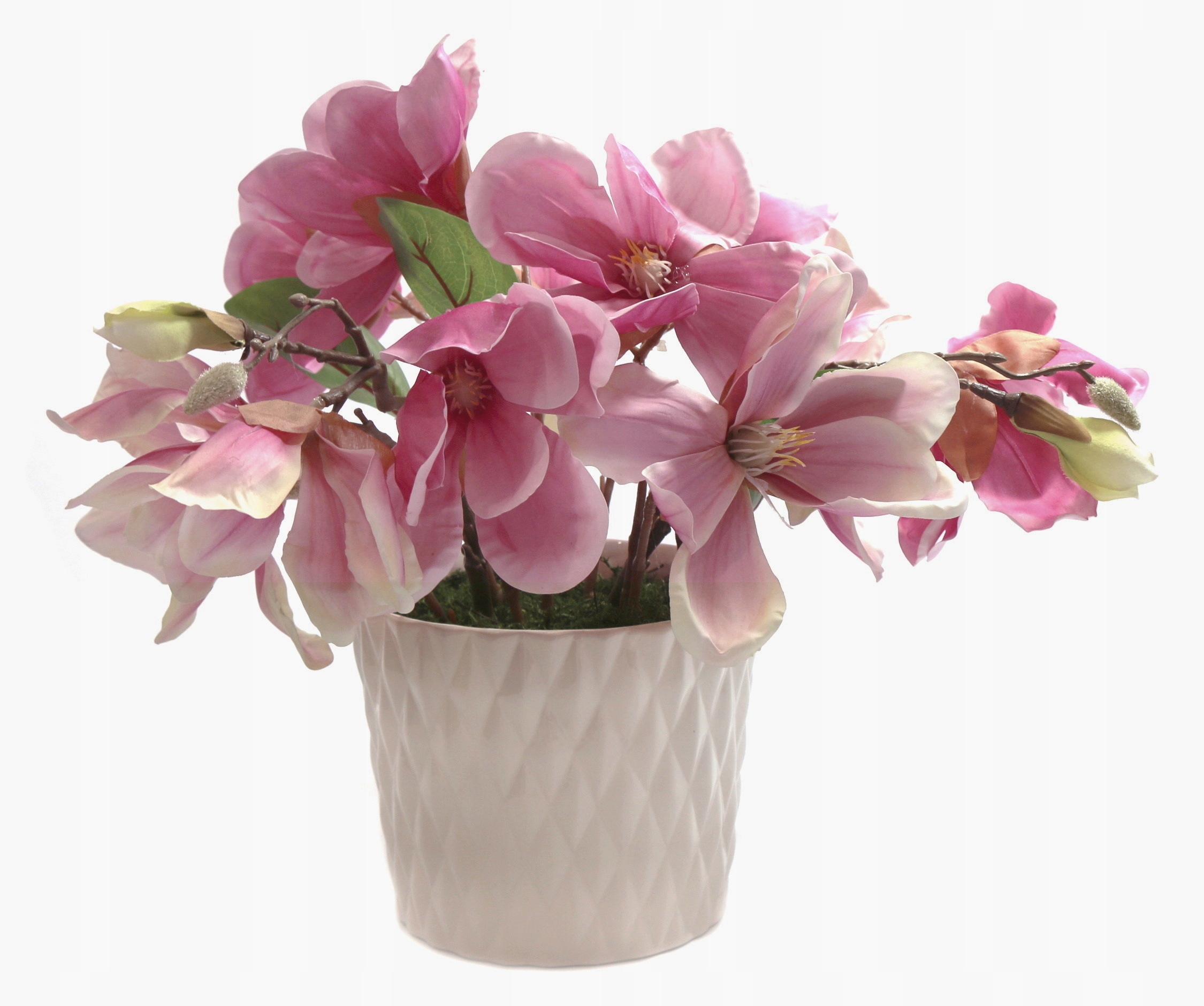 KOMPOZYCJA KWIATOWA MAGNOLIE CERAMICZA DONICZKA
