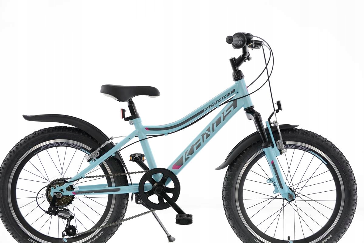 Rower dziecięcy 20 Kands Smart AM 2023 błękit Kod producenta RTRA001455