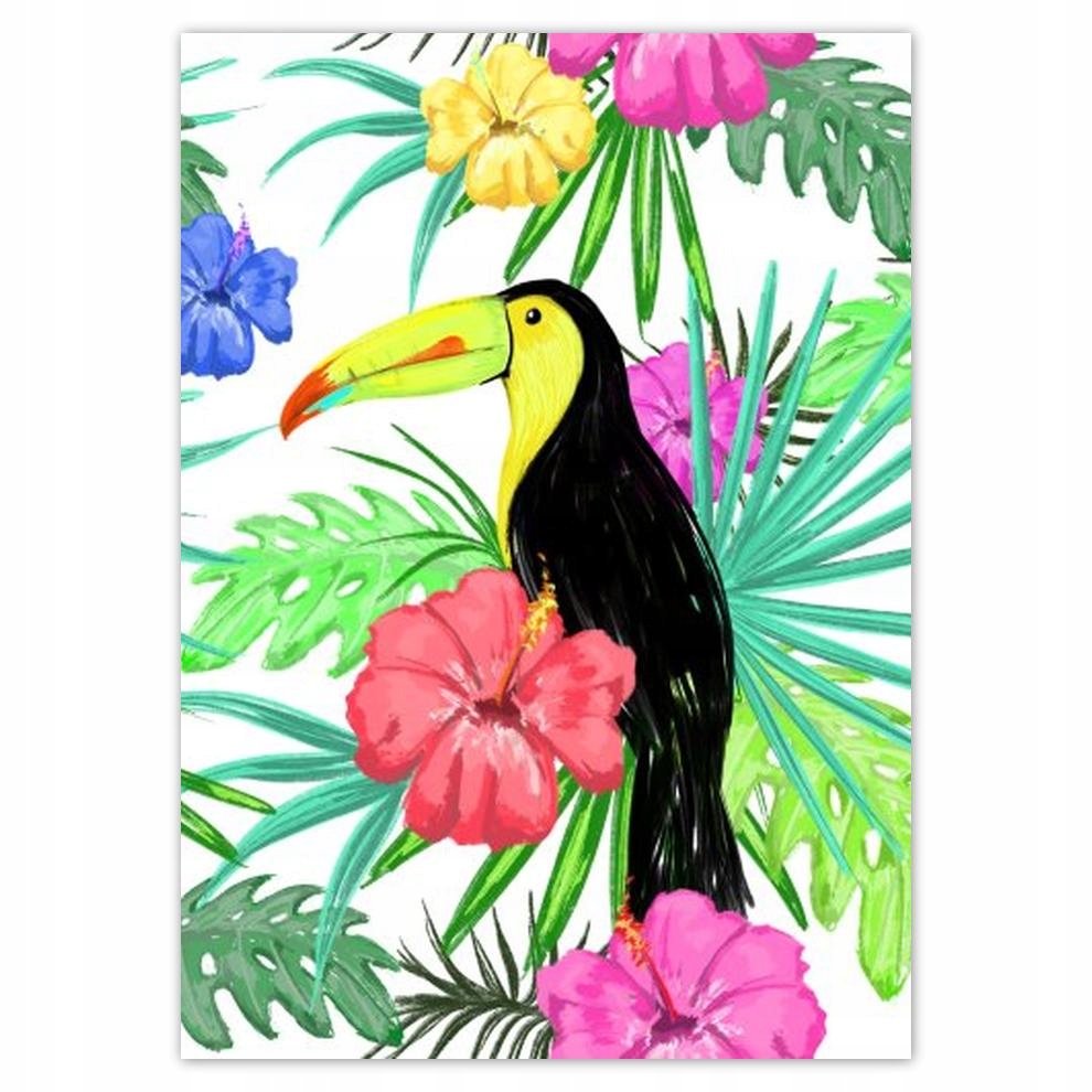 

Plakaty 50x70 Monstera Tukan Hibiskus