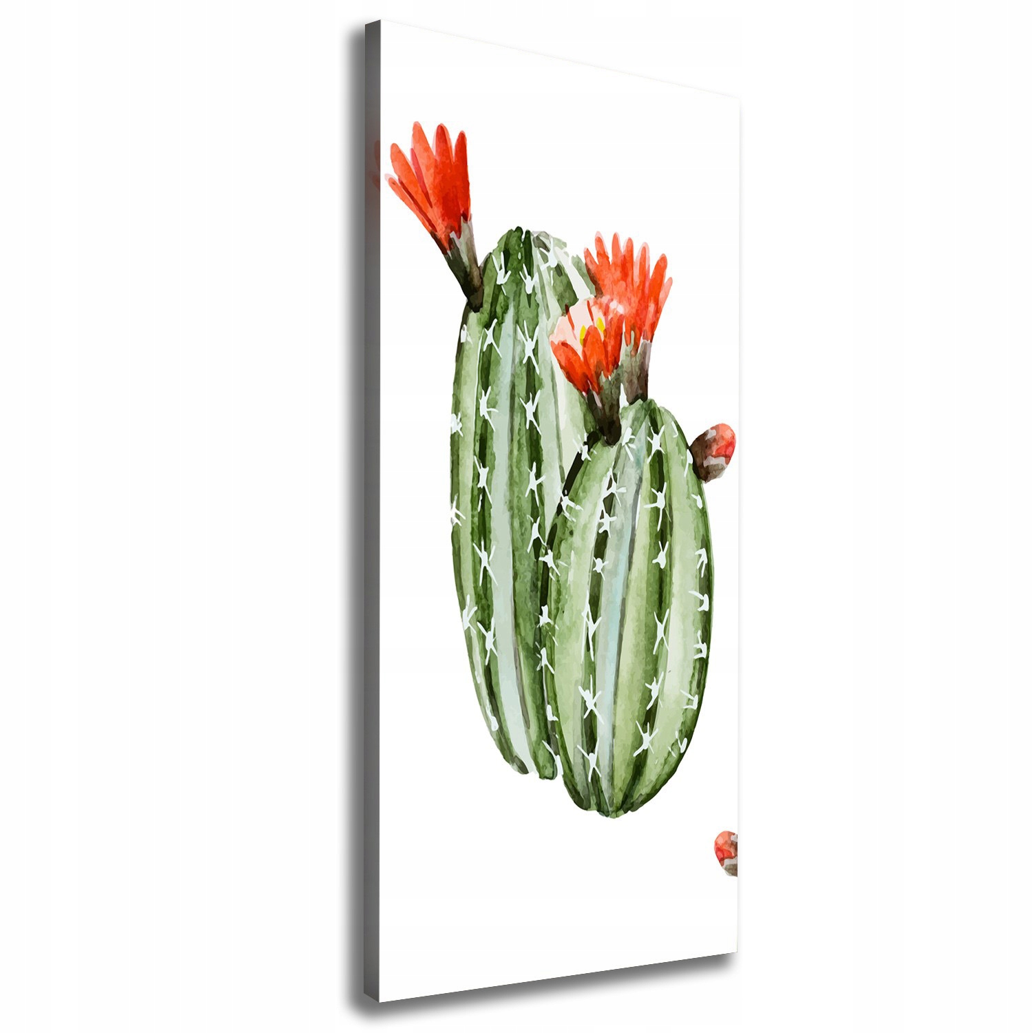 

Nowoczesny obraz canvas na ramie Kaktusy 50x125 cm