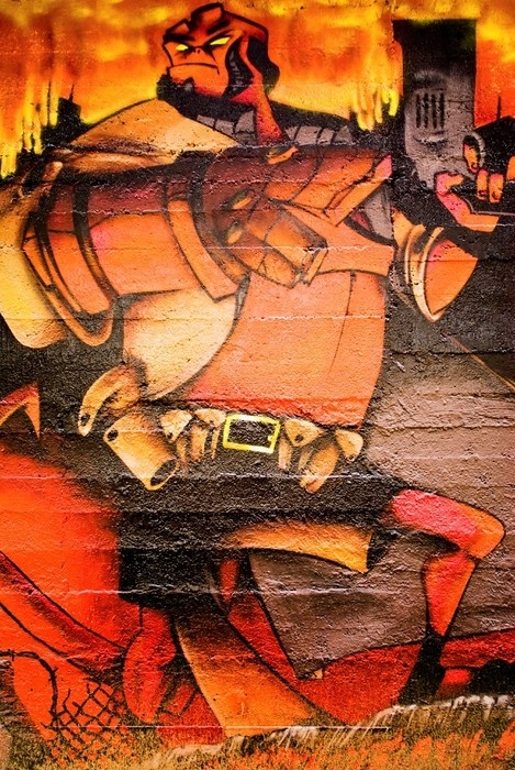 

Fototapeta flizelina na wymiar Graffiti