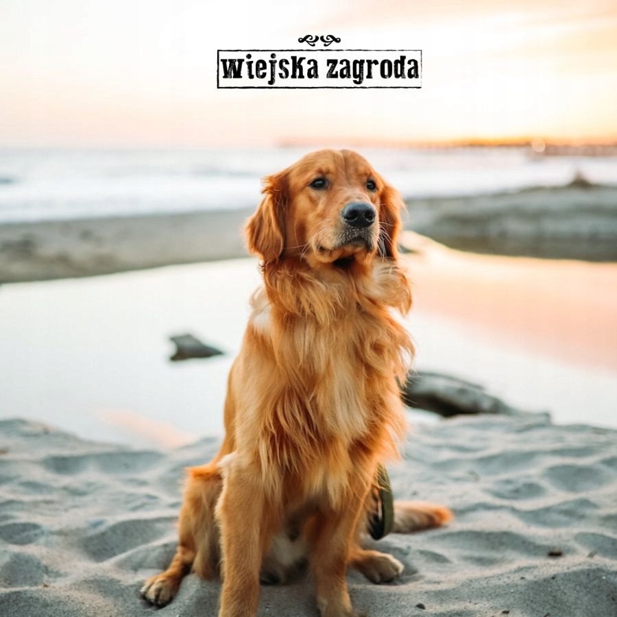 Wiejska Zagroda Karma sucha dla psa WOŁOWINA INDYK WARZYWA Duże rasy L 20kg Wielkość psa rasy duże (26-45 kg)