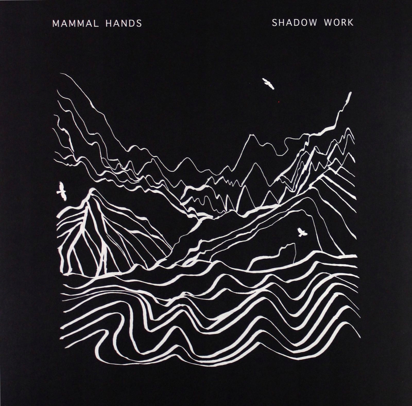 Mammal Hands Shadow Work 2LP Winyl