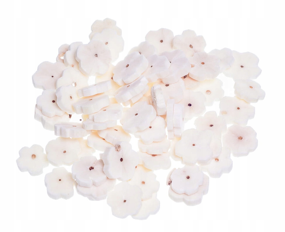 

Kwiaty Shola flowers 100szt susz do stroików