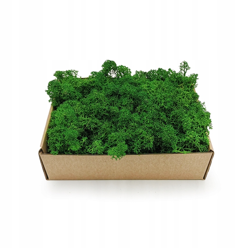 Mech Chrobotek - Alpejski - Oczyszczony - Zielony 50g NETTO Marka inna