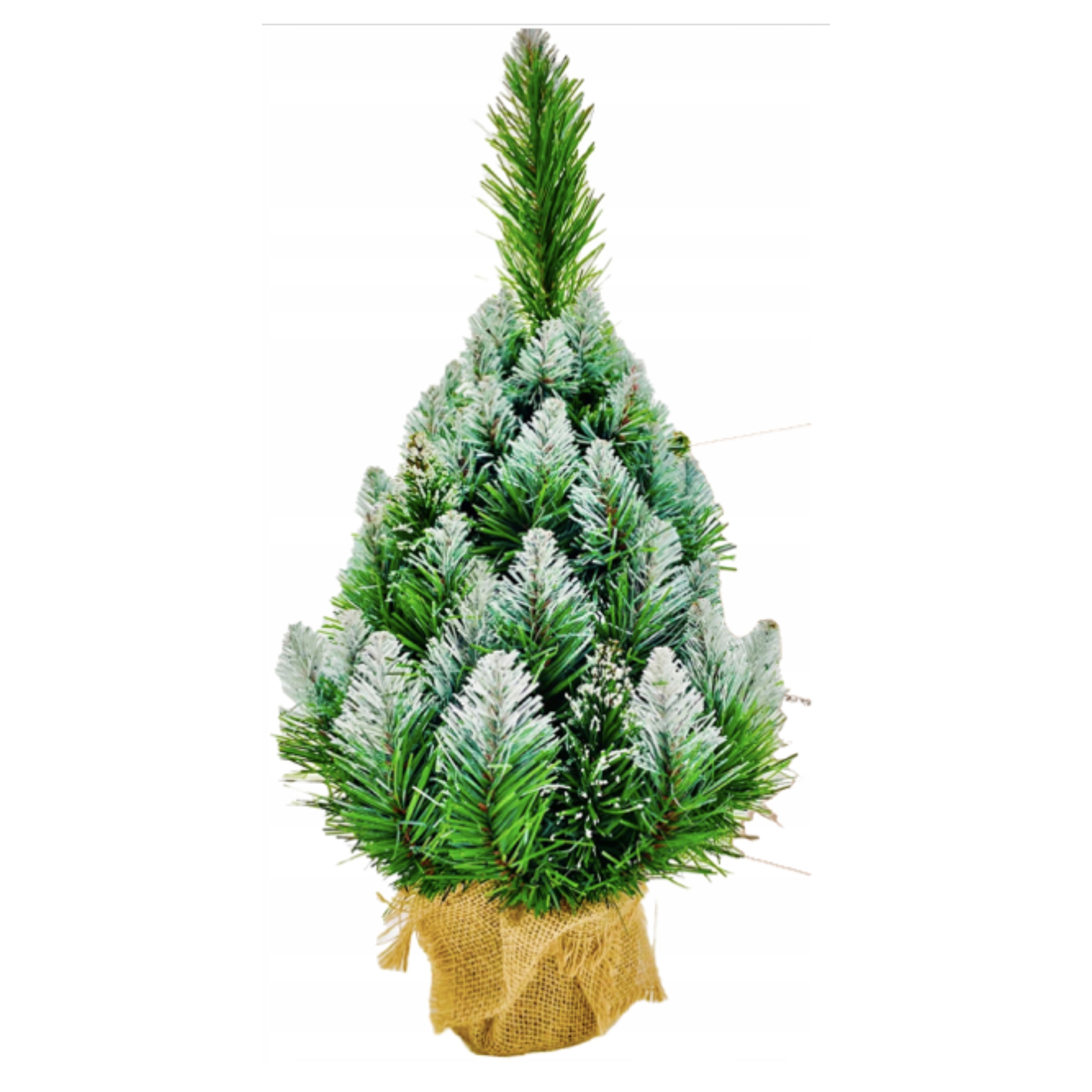 

Choinka Na Pniu 50cm Na biurko Sosna Diamentowa