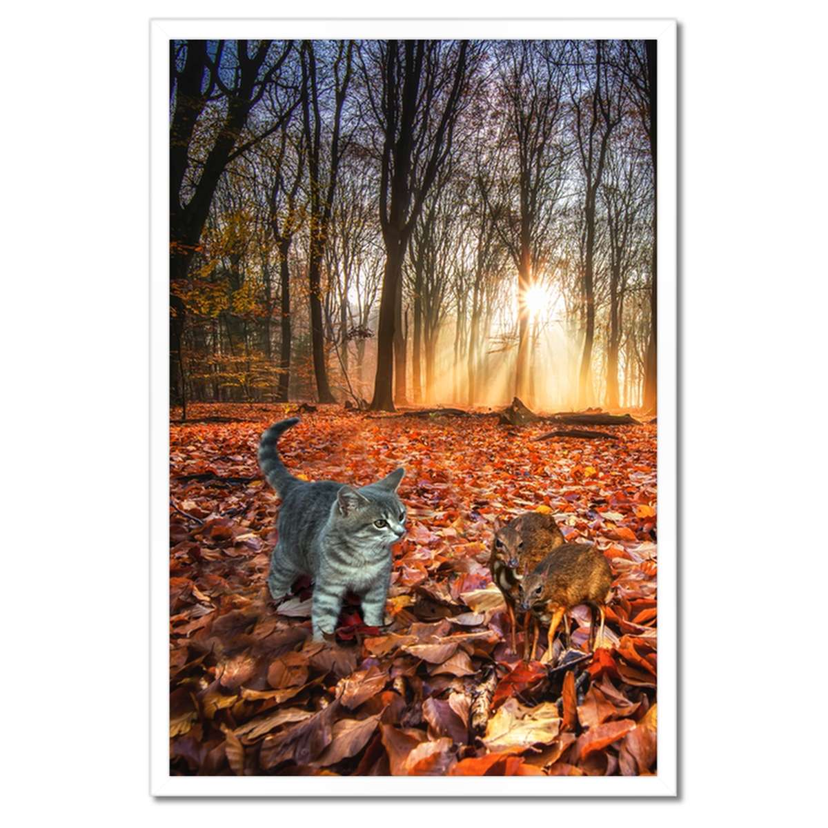 Plakáty v rámu 40x60 Myšojelen Kočička Krajina