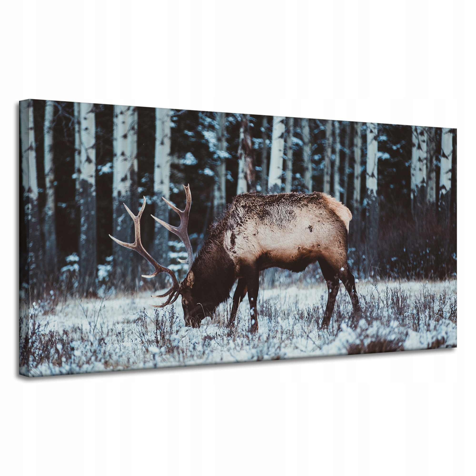 Obraz Canvas Zvířata Jelen kanadský 120x60 cm