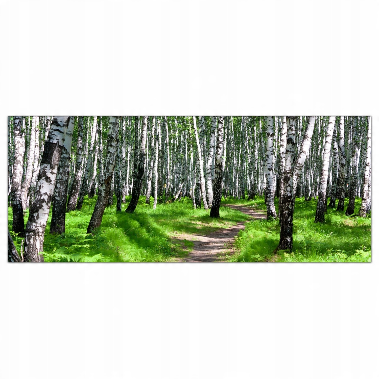 

Obraz Szklany Foto-obraz Ścieżka Las Drzewa 125x50