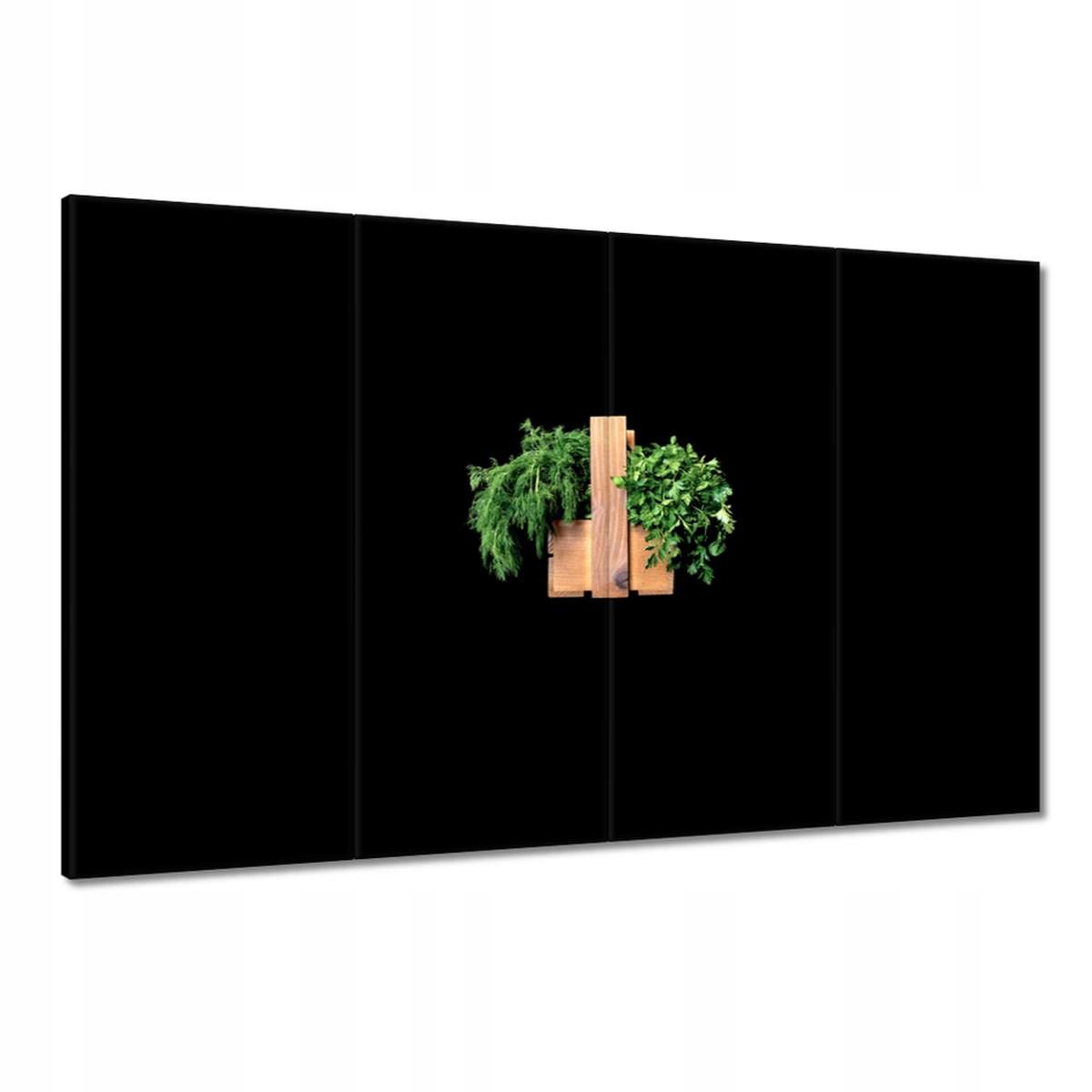 Obrazy 120x80 Petrželka Kopr bylinky
