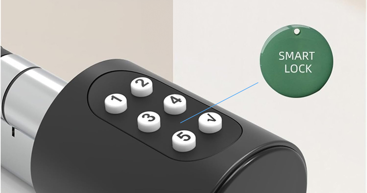 INTELIGENTNA WKŁADKA DO ZAMKA 70MM KLAMKA CYLINDER PIN BLUETOOTH RFID TUYA Rodzaj zamek