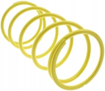 Sprężyna dociskowa MALOSSI do MINARELLI/MORINI 297045Y0