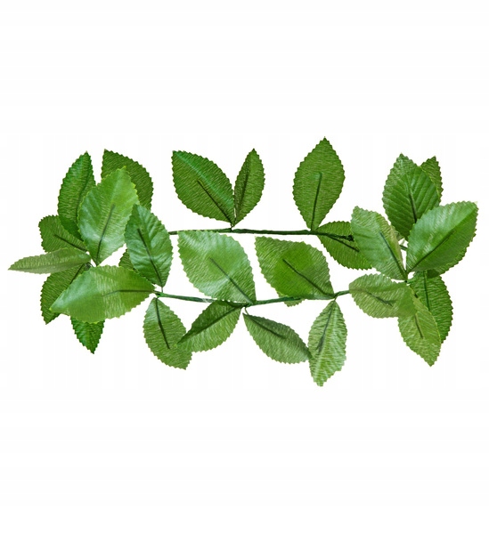 

Wieniec Laurowy Zielony Korona Laurowa Rzym Grecja