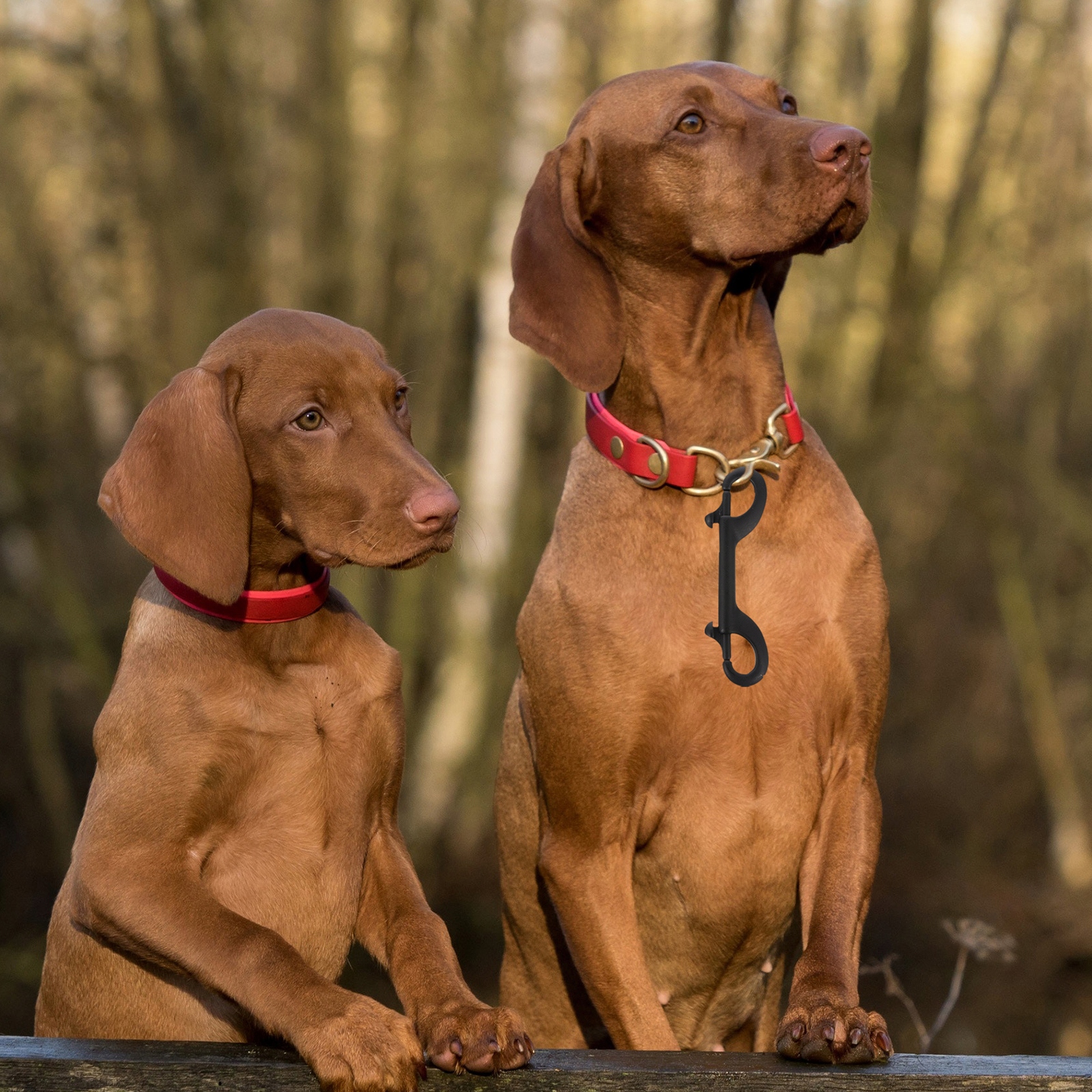 2 SZT. DWUSTRONNY HACZYK SPUSTOWY KLIPS ZATRZASKOWY HACZYK Grubość 1 mm