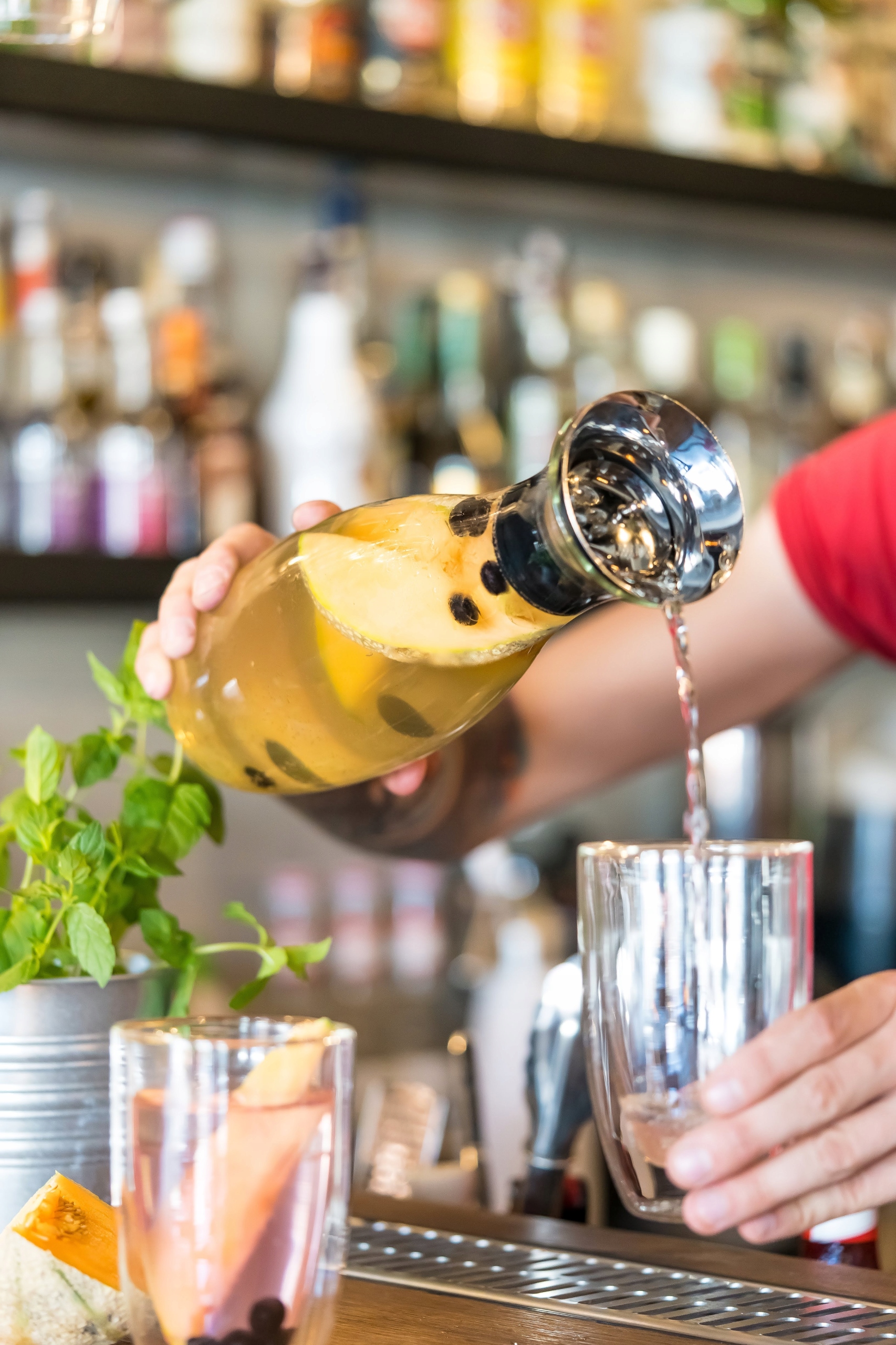 Karafka Drip-Free 1300 ml Amo Rodzaj karafka