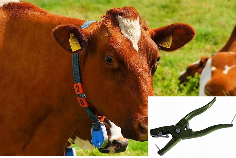 KOLCZYKOWNICA DO ZNAKOWANIA BYDŁA METALOWA