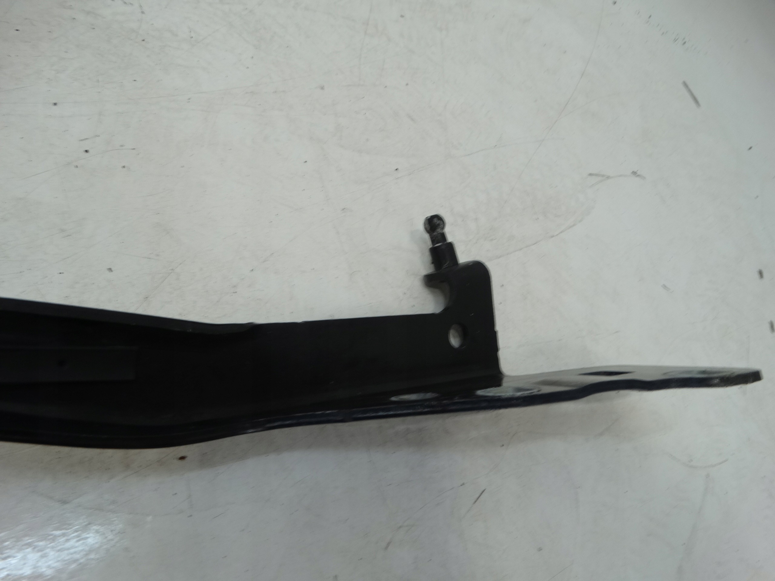 hinge bonnets right front RENAULT SCENIC III 654000004R--L