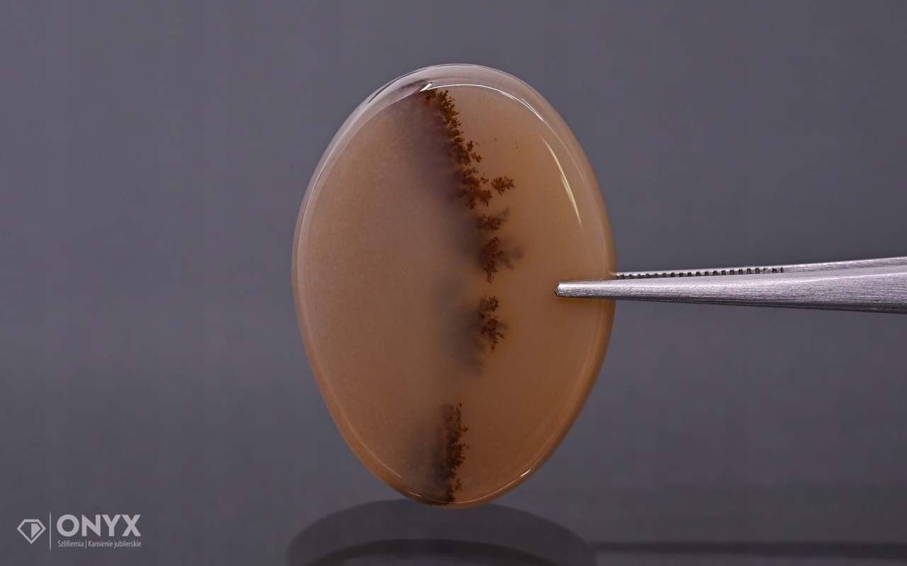 Dendritový achát z Kazachstánu konvexní dlaždice nere