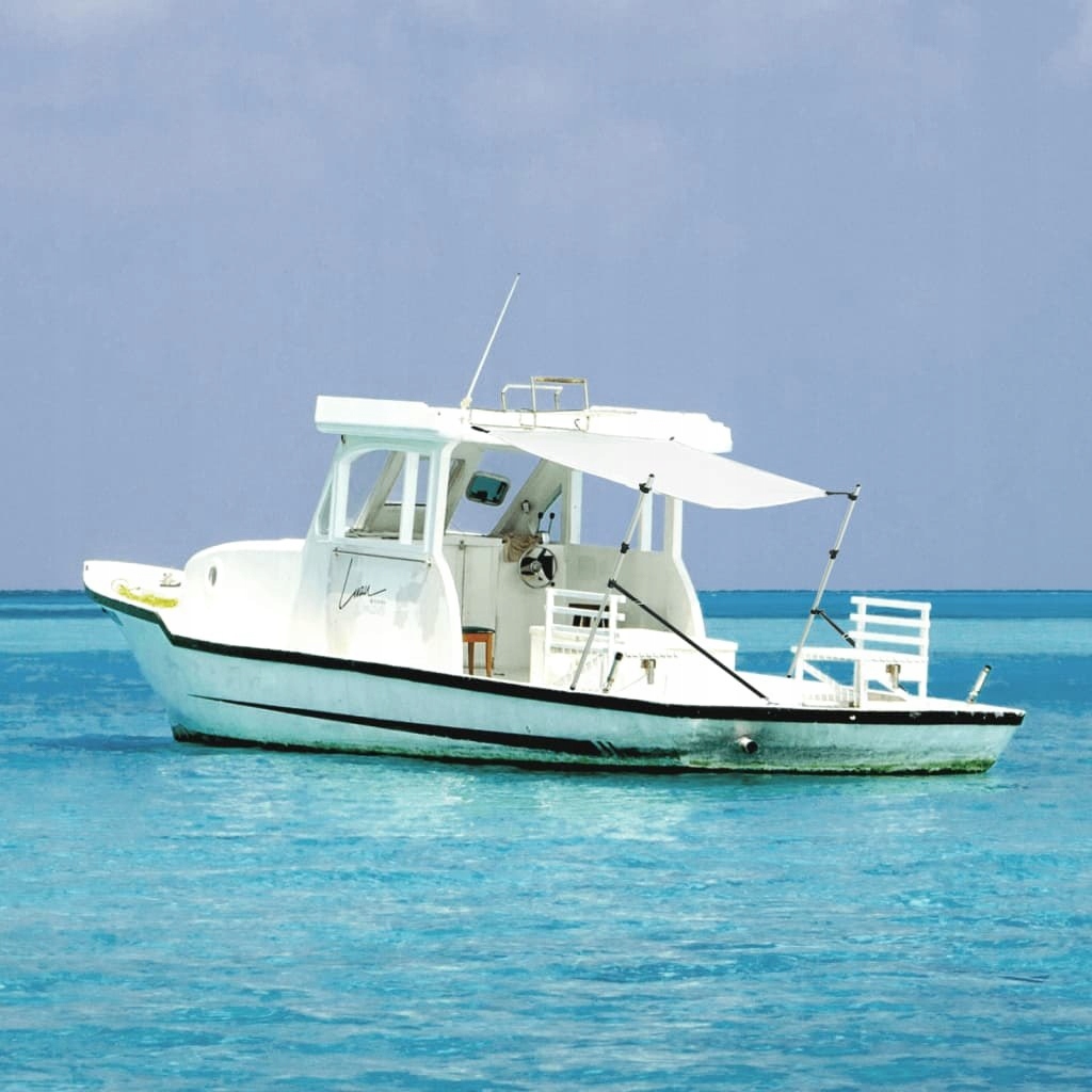 ROZBUDOWA ZADASZENIA DO ŁODZI BIAŁA 170X170X(113-182,5)CM