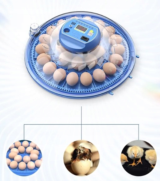 INKUBATOR 26 JAJ Automatyczne Podanie Wody 230/12V Akcesoria Stan opakowania oryginalne