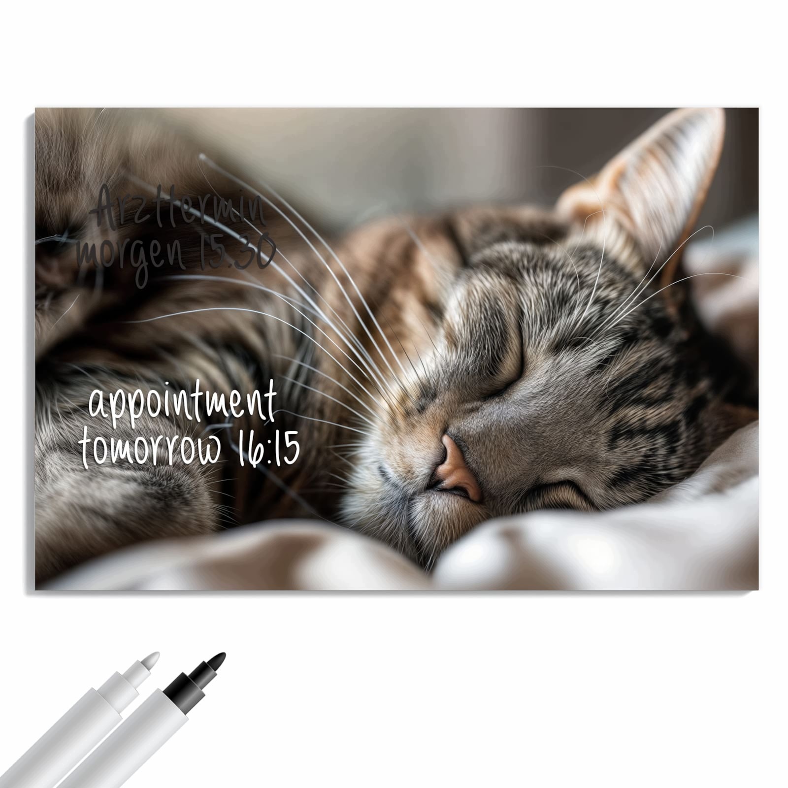 Magnetická tabule Drzemiouce Kočka Portrét 60 × 40 cm