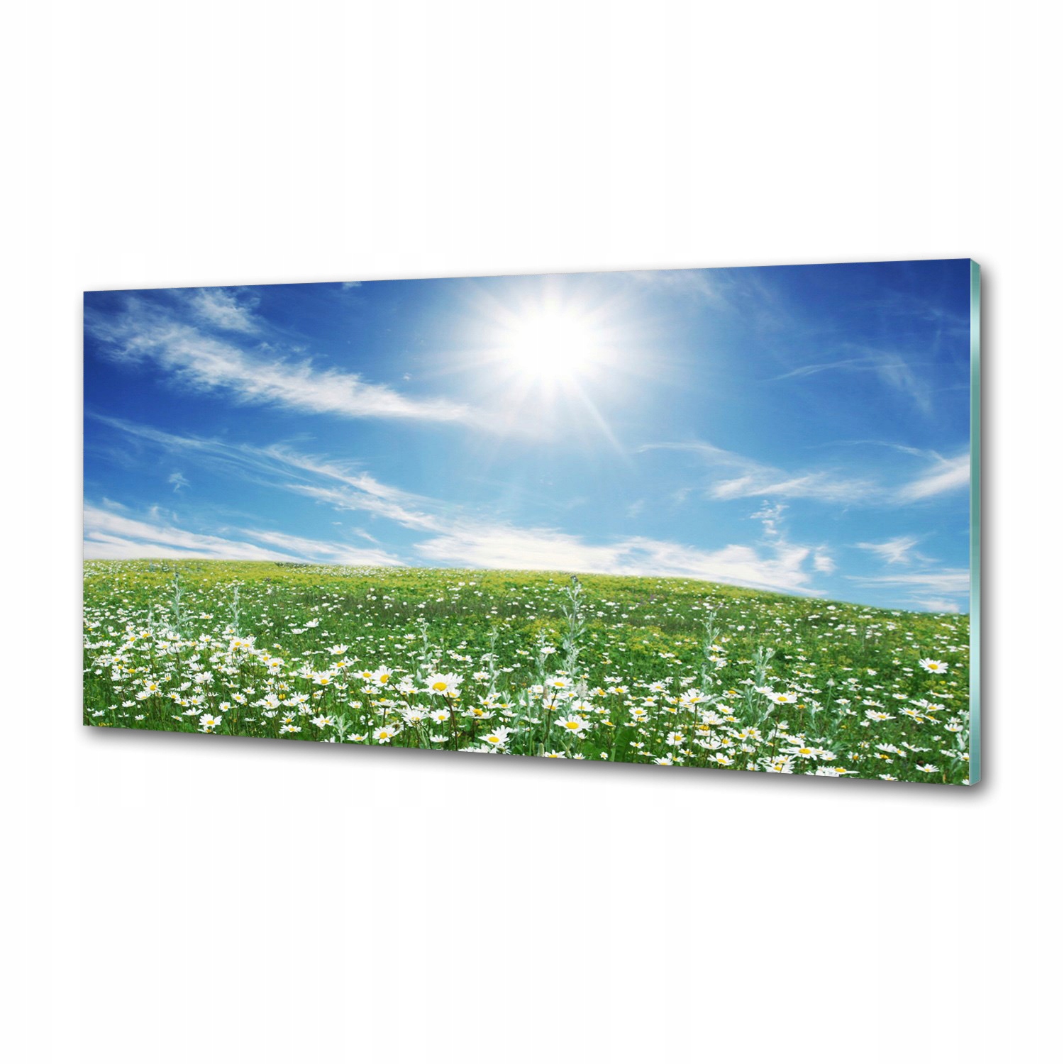 Sklenený panel do kuchyne Lúka 100 x 50 cm Lepidlo