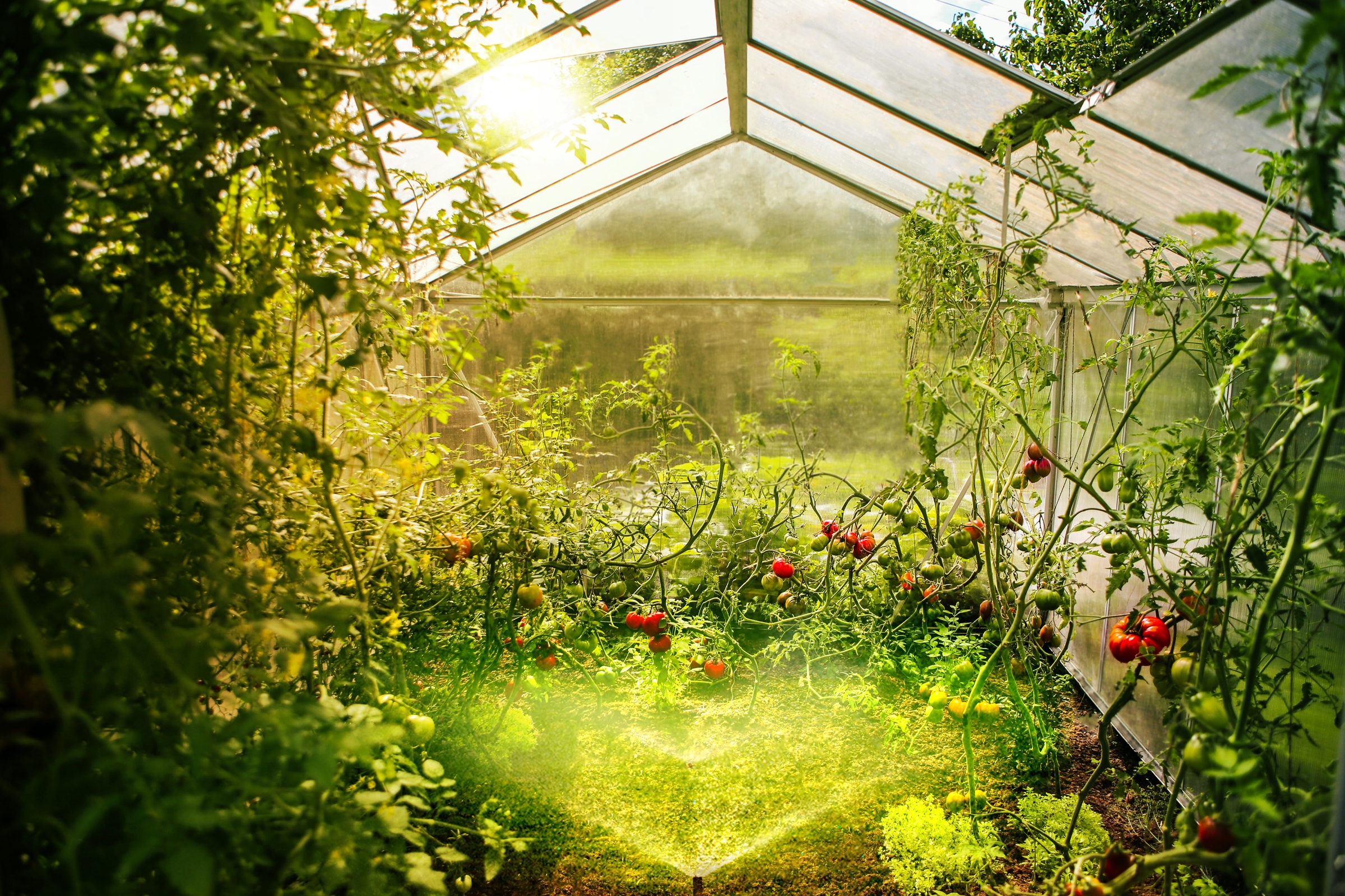 Czujnik temperatury tempSensor PRO BLEBOX WiFi + Marka Blebox