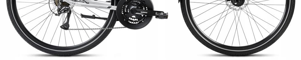 Romet Wagant 4 srebrny czarny 2024 Płeć mężczyzna